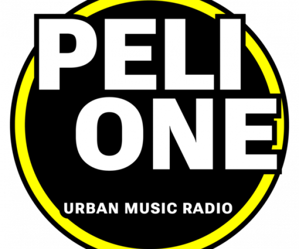 PELI ONE Logo 2025 Farbe ohne Domain 512 x 512 72dpi ok